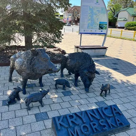 Piano Krynica Morska