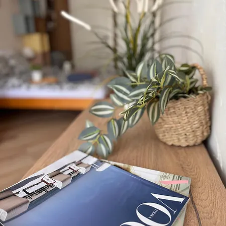 招待所 Piano 库瑞尼卡慕斯卡