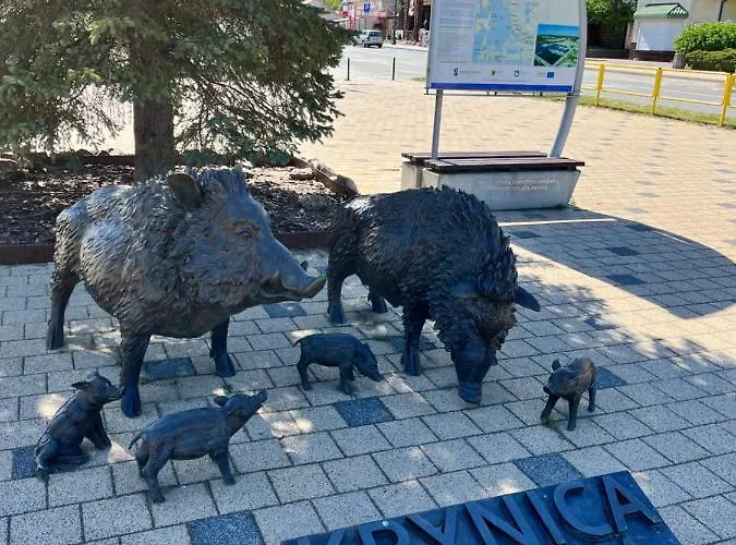 Piano 库瑞尼卡慕斯卡