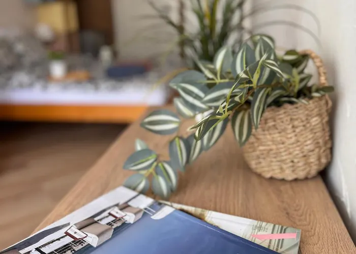 招待所 Piano 库瑞尼卡慕斯卡