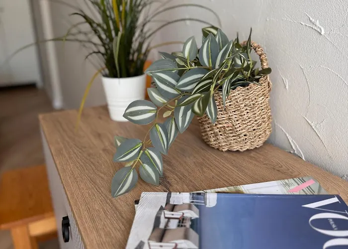 Piano 3* 库瑞尼卡慕斯卡