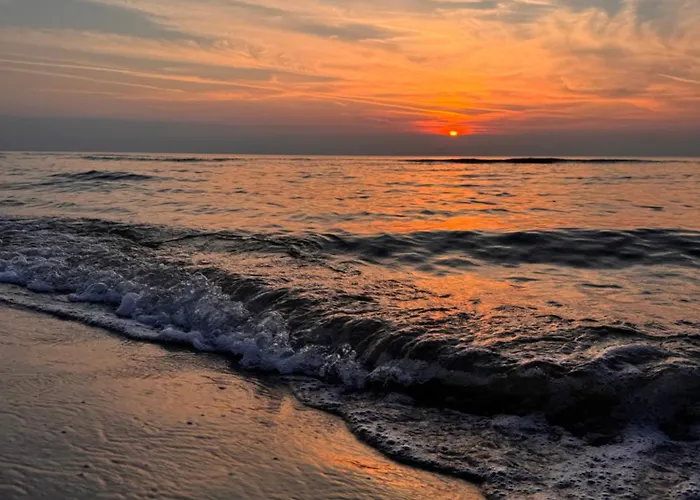 Piano 3* 库瑞尼卡慕斯卡